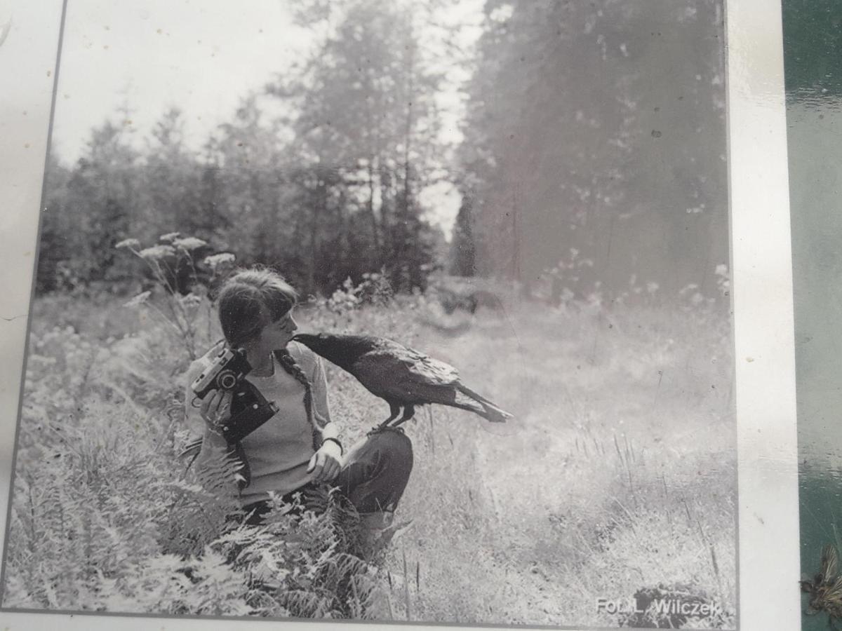 In Nature Białowieża Exterior foto