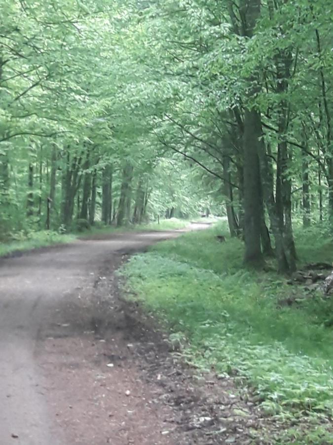 In Nature Białowieża Exterior foto