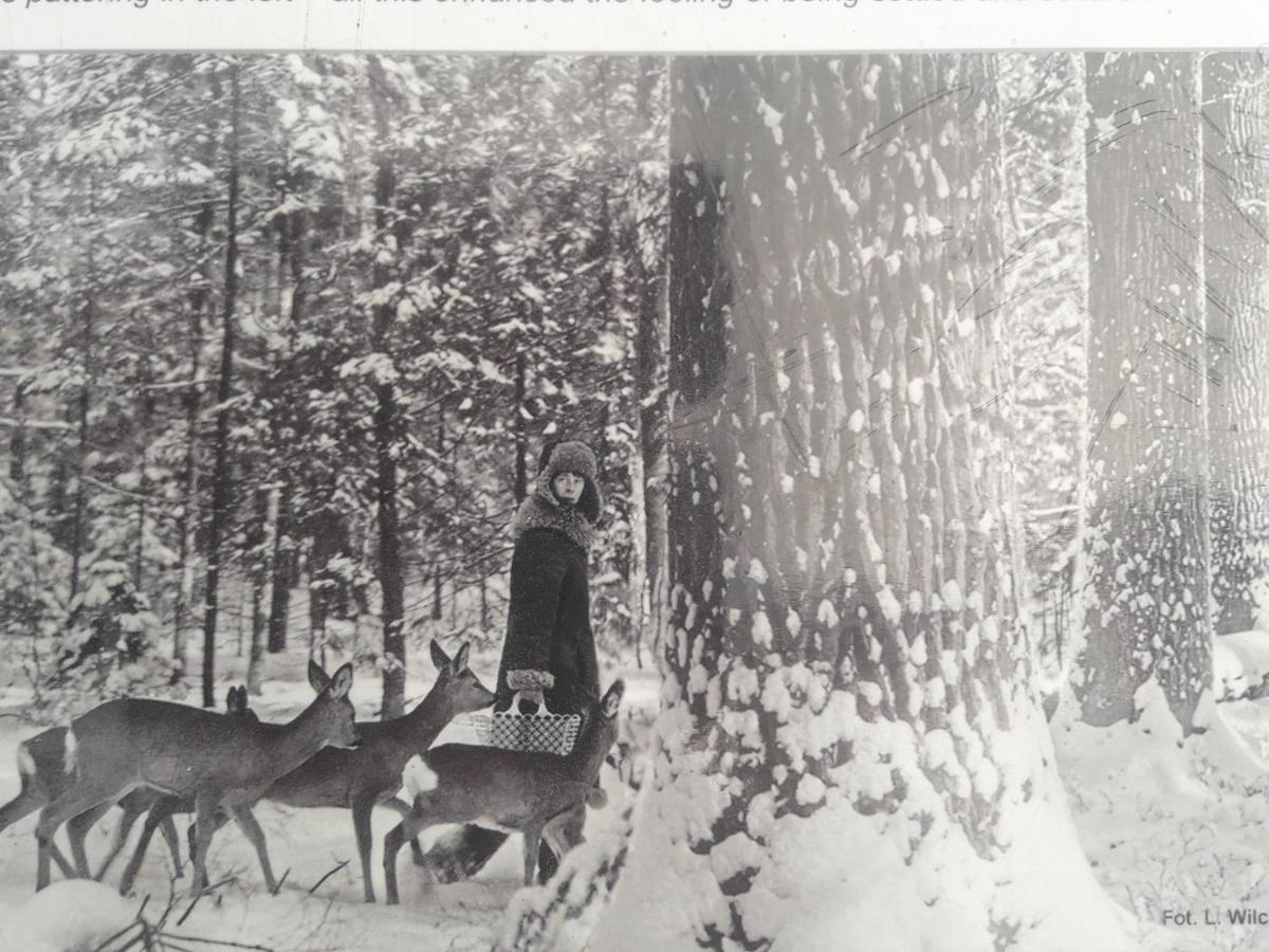 In Nature Białowieża Exterior foto