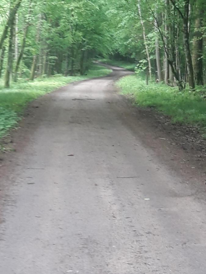 In Nature Białowieża Exterior foto